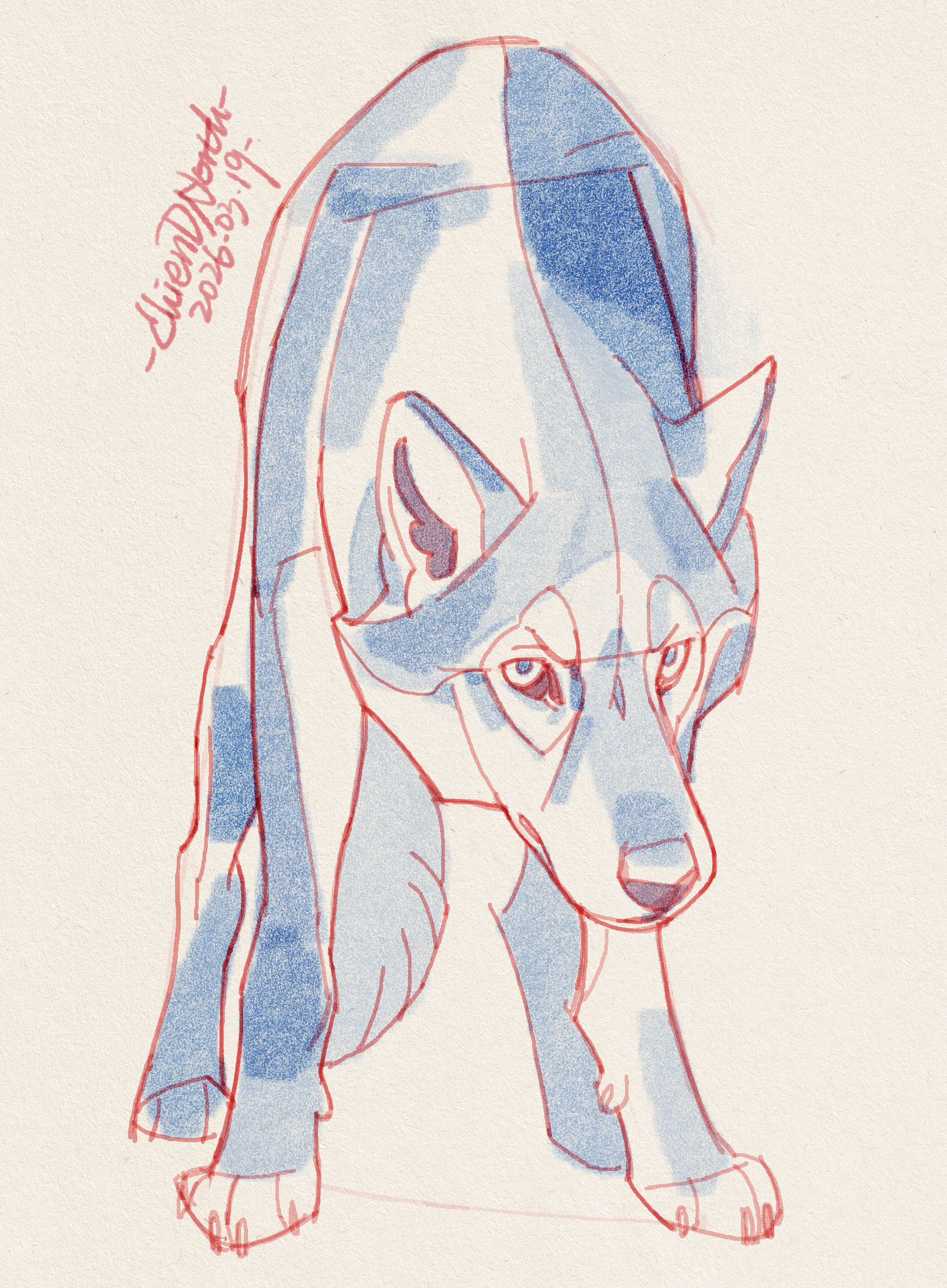 2026.3.19[跟练课示范][狼全身][图]